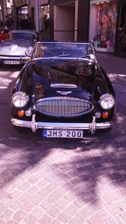 IMG_20150308_114232.jpg